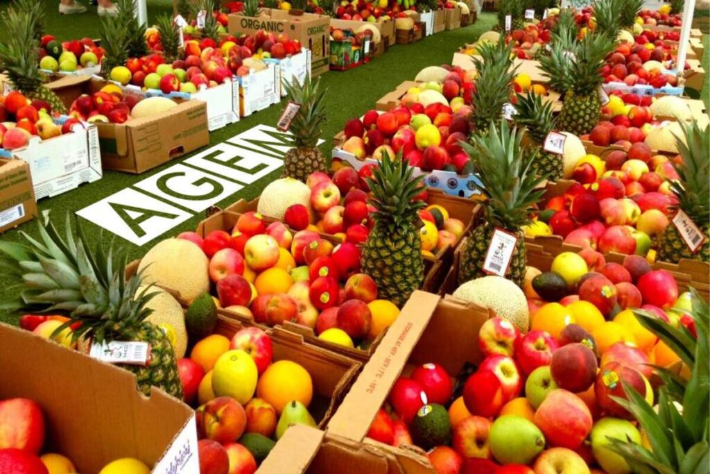 Catering km 0 en Tijuana: De la granja a tu plato